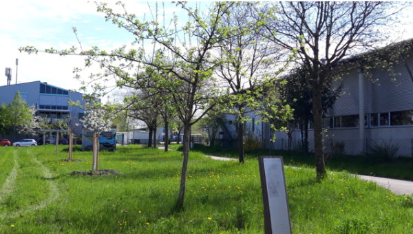 Filmstart Apfelpfarrer